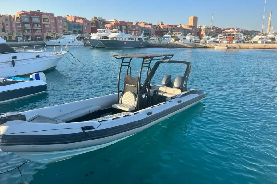 Private Speed Boat to Dolphin Bay