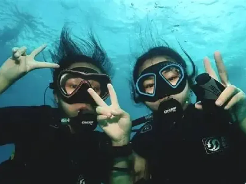 Abu Dabbab Adventure Sea Turtles