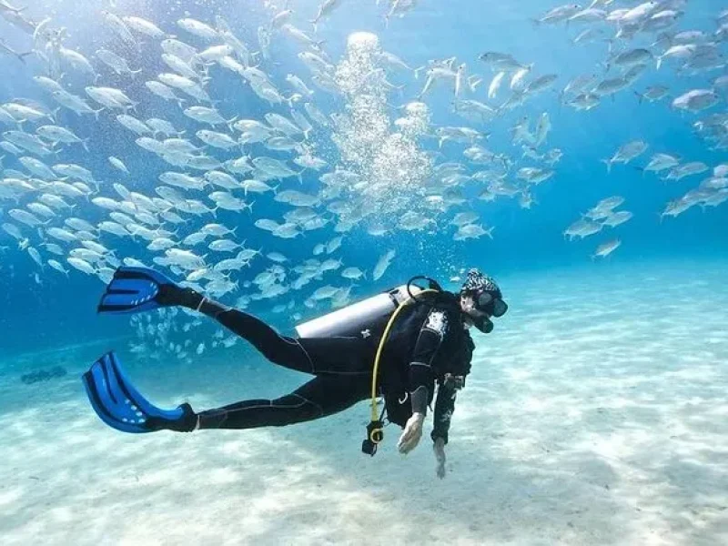 Scuba diver exploring coral reef during full-day trip with two dives in the Red Sea