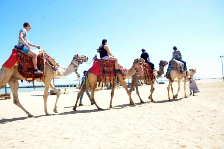 Camel Ride in Egypt