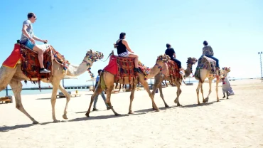 Private Family Safari Quad Camel Ride in Egypt Desert Adventure