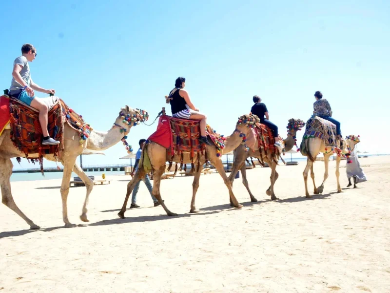 Private Family Safari Hurghada