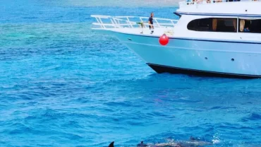 Scuba Diving Full Day Trip Hurghada