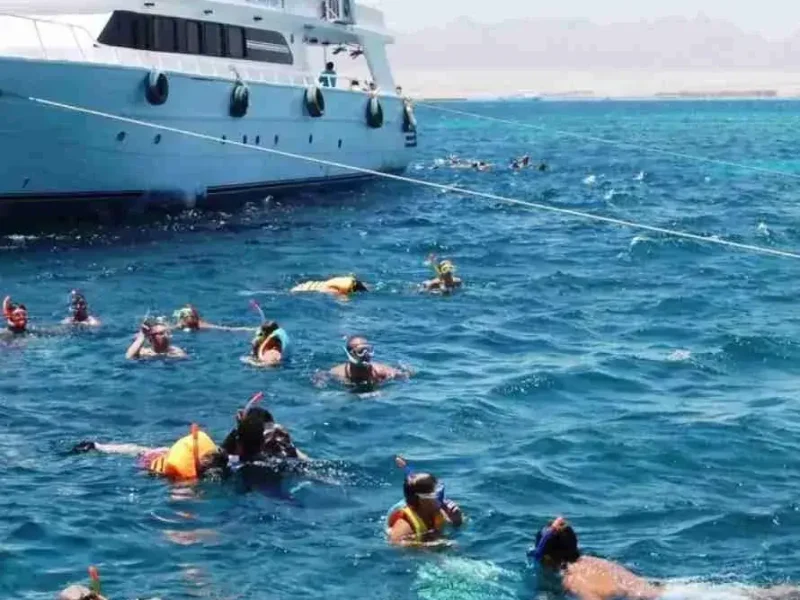 Scuba Diving Full Day Trip Hurghada